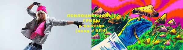 ГАЛЛЮЦИНОГЕННЫЕ ГРИБЫ Елизово