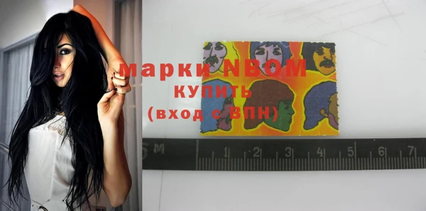 прущая мука Ельня