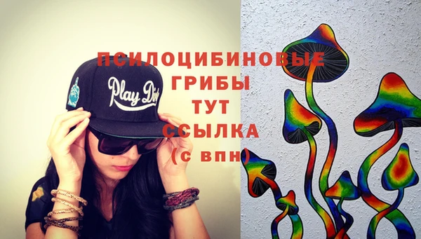ГАЛЛЮЦИНОГЕННЫЕ ГРИБЫ Елизово